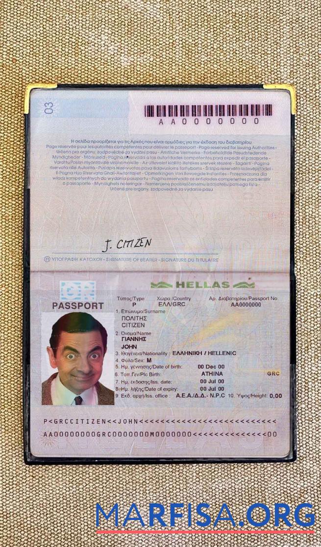 Printable Greece pass photo look real example